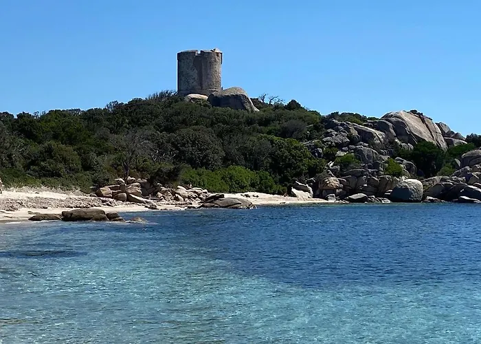 A Liccia Figari (Corsica)