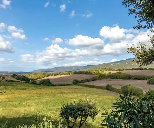 Villa A Liccia Figari (Corsica)